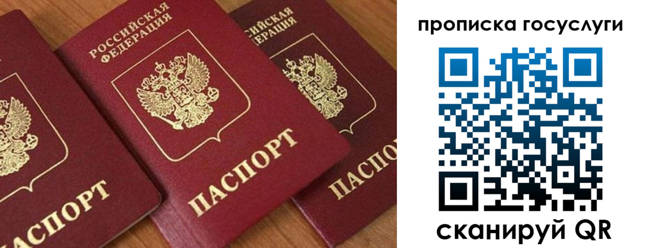 временная прописка в Юрьев-Польском